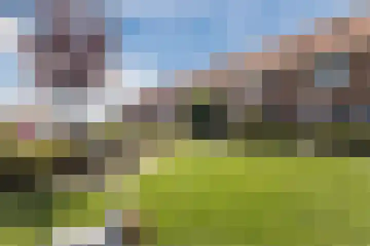 Tarweveld 20 Beneden-Leeuwen thumbnail 40
