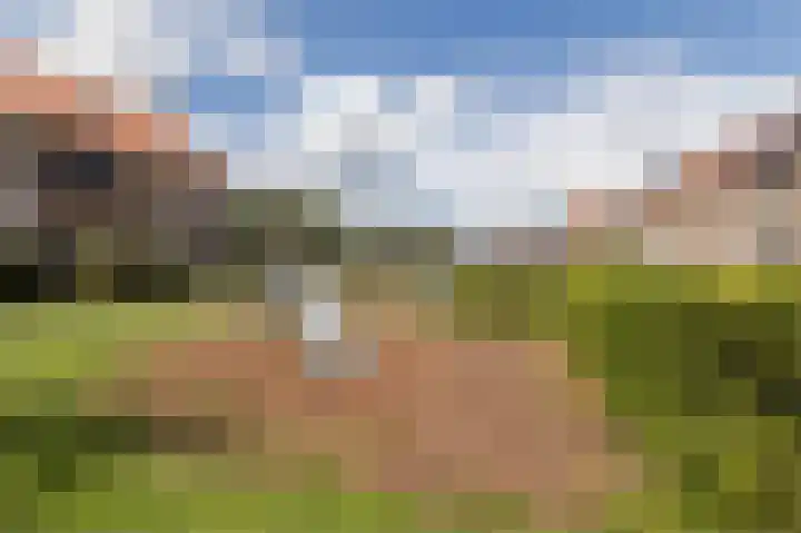 Tarweveld 20 Beneden-Leeuwen thumbnail 41