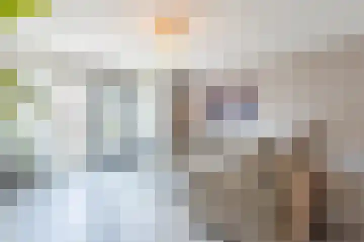 Tarweveld 20 Beneden-Leeuwen thumbnail 6