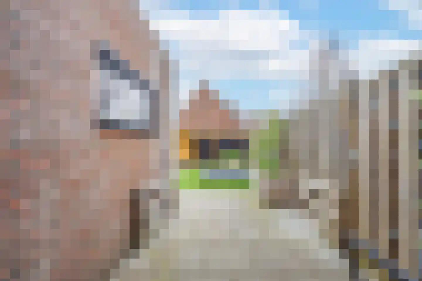Tarweveld 31 Beuningen Gld thumbnail 50