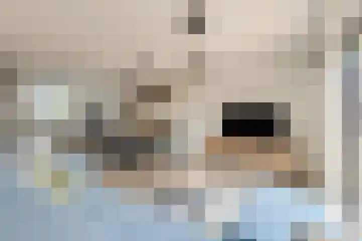 Tarweveld 5 Bergschenhoek thumbnail 11