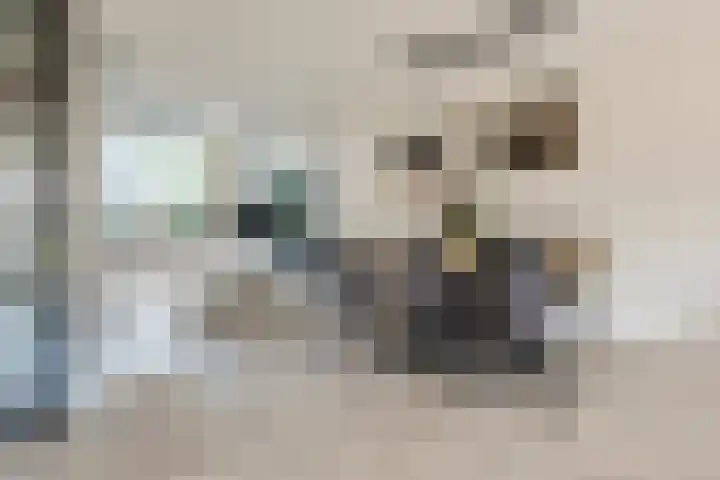 Tarweveld 5 Bergschenhoek thumbnail 12