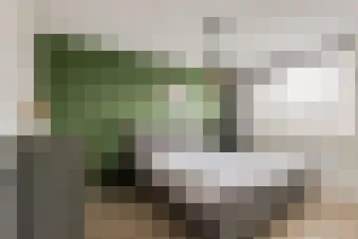 Tarweveld 5 Bergschenhoek thumbnail 15