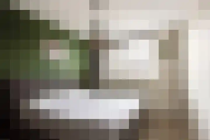 Tarweveld 5 Bergschenhoek thumbnail 16