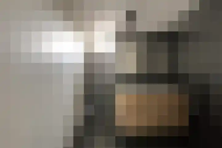 Tarweveld 5 Bergschenhoek thumbnail 22