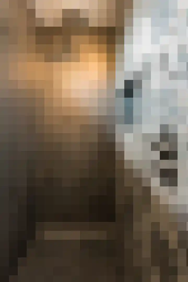 Tarweveld 5 Bergschenhoek thumbnail 23