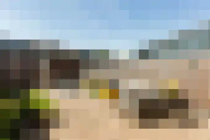 Tarweveld 5 Bergschenhoek thumbnail 30