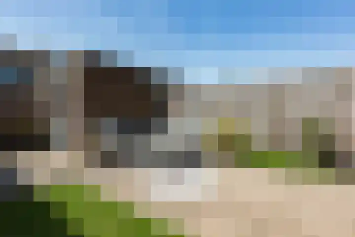 Tarweveld 5 Bergschenhoek thumbnail 31