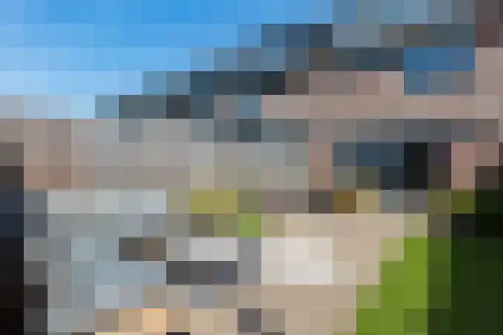 Tarweveld 5 Bergschenhoek thumbnail 32