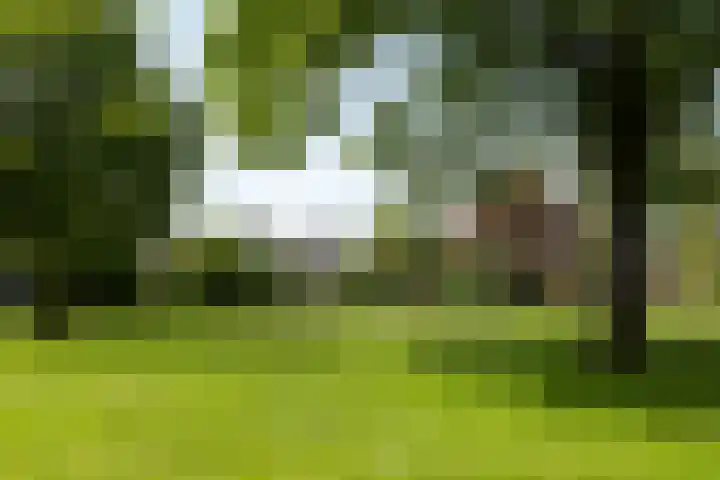 Tarweveld 5 Bergschenhoek thumbnail 35