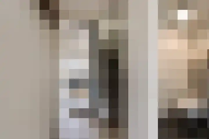 Tarweveld 5 Bergschenhoek thumbnail 7