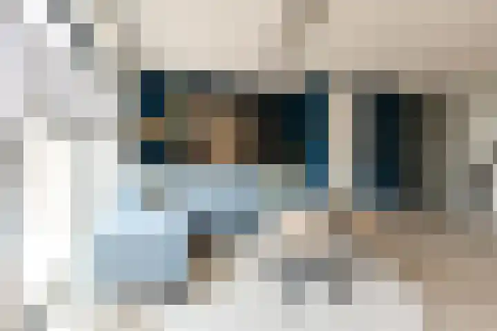 Tarweveld 5 Bergschenhoek thumbnail 8