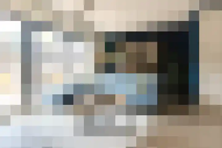 Tarweveld 5 Bergschenhoek thumbnail 9
