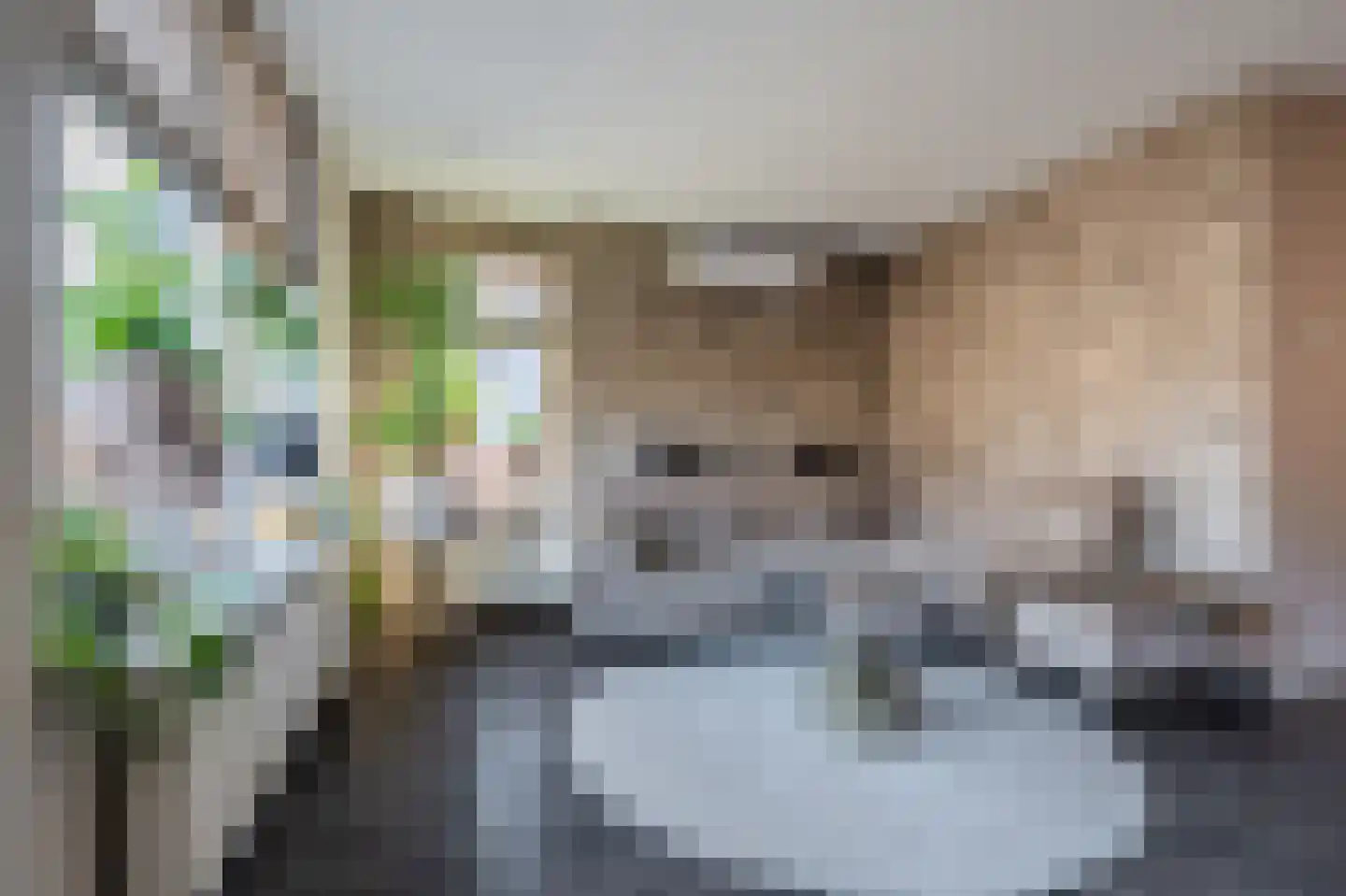 Tarweveld 6 Midwolda thumbnail 13