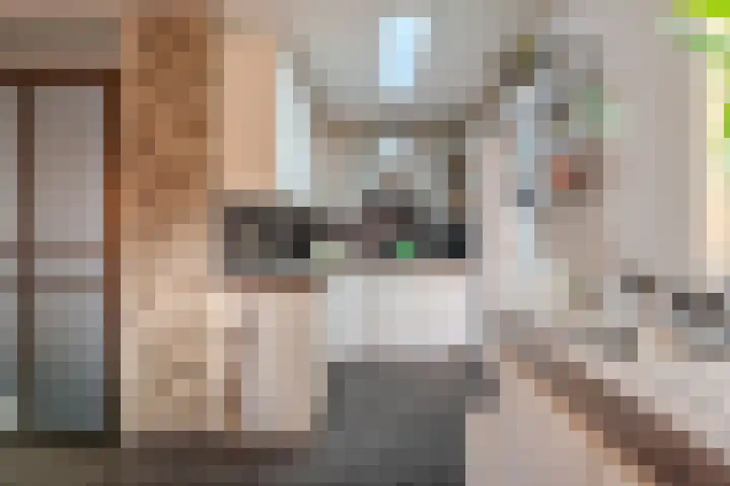 Tarweveld 6 Midwolda thumbnail 23
