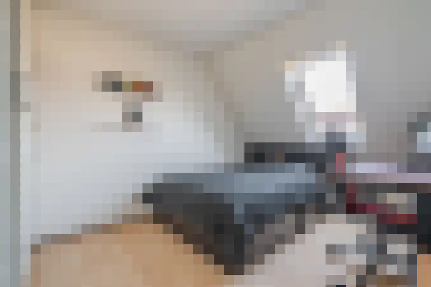 Tarweveld 6 Midwolda thumbnail 34