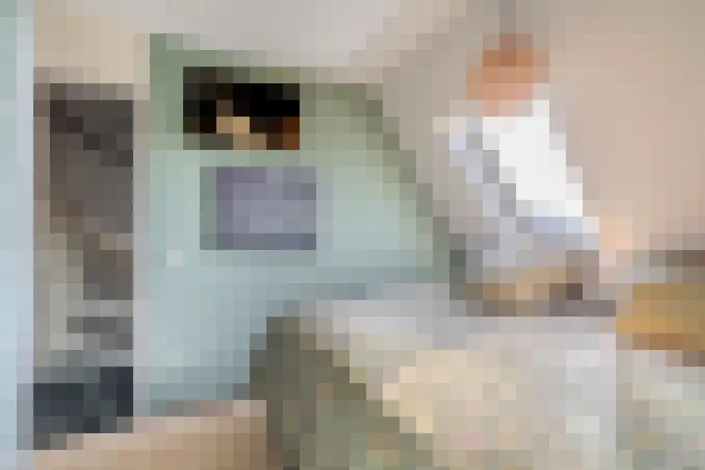 Tarweveld 6 Midwolda thumbnail 37