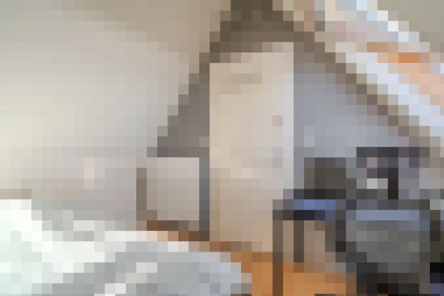 Tarweveld 6 Midwolda thumbnail 48