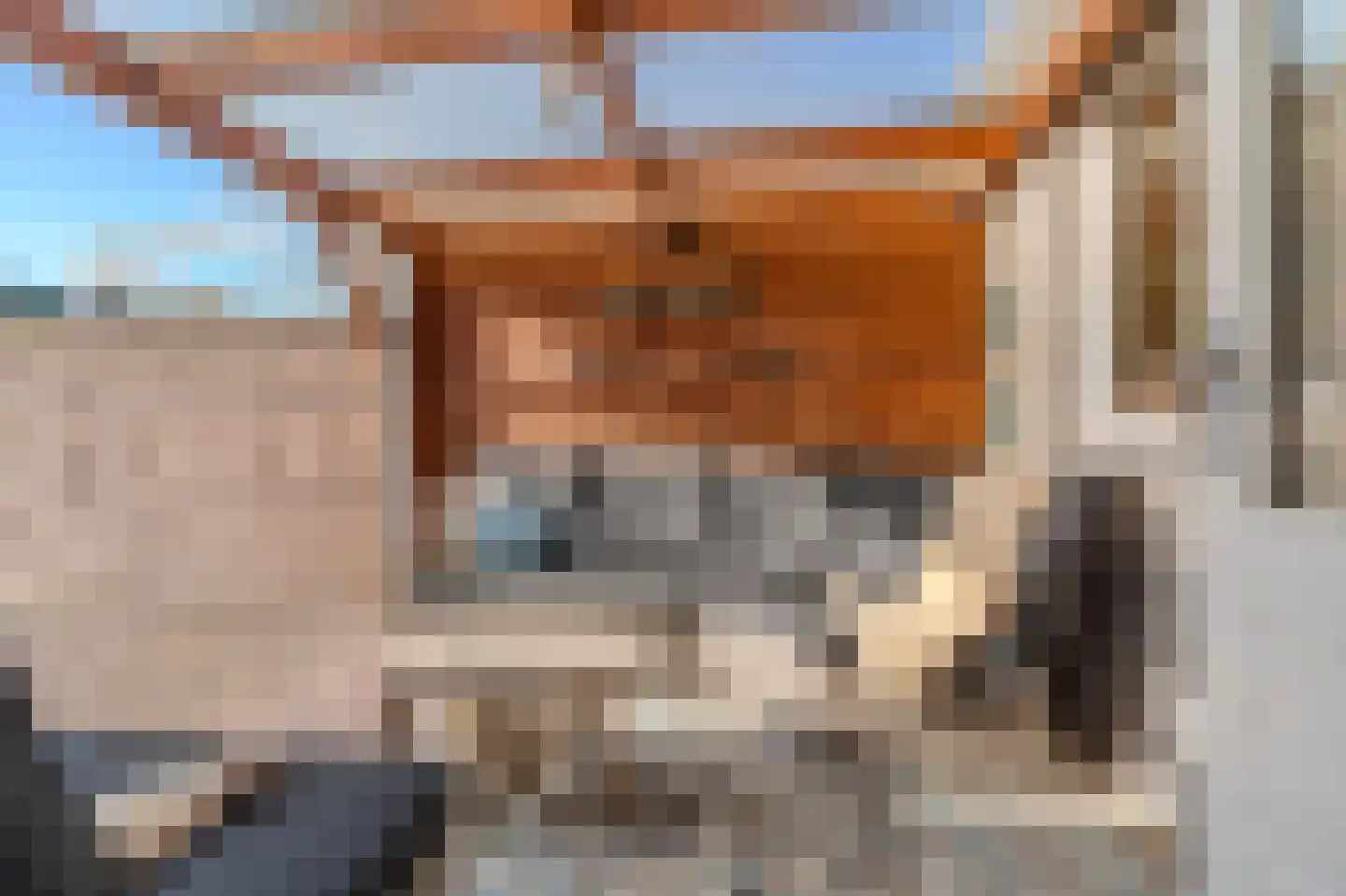 Tarweveld 6 Midwolda thumbnail 49