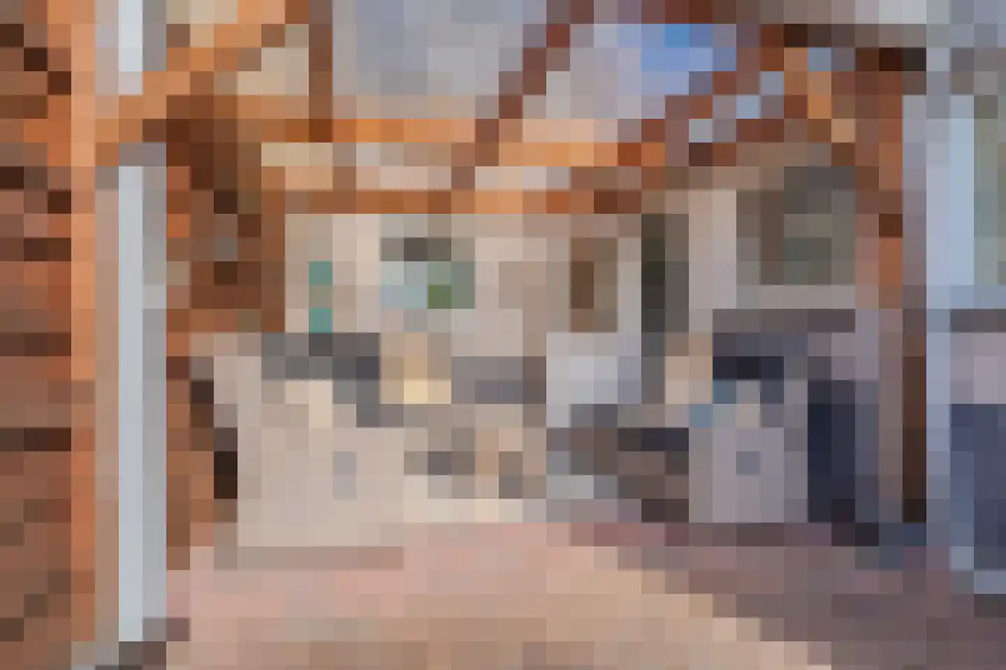 Tarweveld 6 Midwolda thumbnail 50