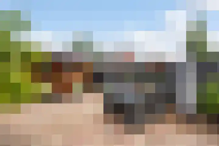 Tasmanië 124 Zoetermeer thumbnail 22