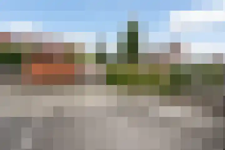 Tasmanië 124 Zoetermeer thumbnail 23