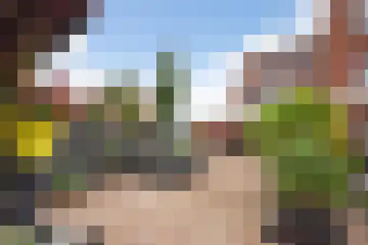 Tasmanië 124 Zoetermeer thumbnail 27