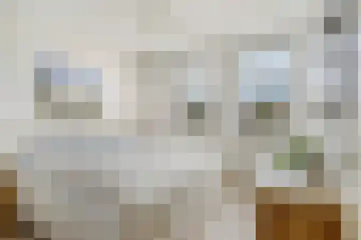 Tasmanië 124 Zoetermeer thumbnail 4