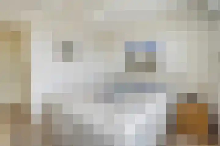 Tasmanië 124 Zoetermeer thumbnail 41