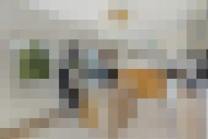 Tasmanië 124 Zoetermeer thumbnail 47