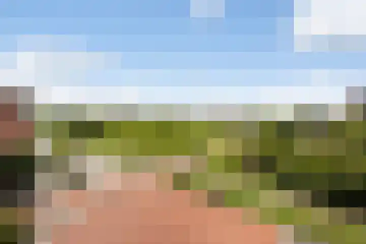 Tasmanië 124 Zoetermeer thumbnail 48