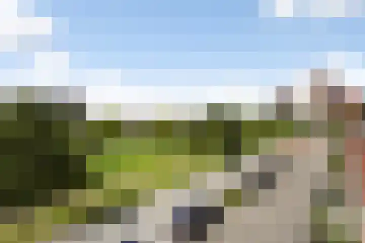 Tasmanië 124 Zoetermeer thumbnail 49