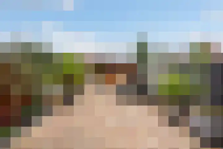 Tasmanië 124 Zoetermeer thumbnail 5