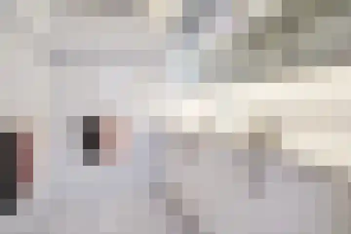 Tasmanië 124 Zoetermeer thumbnail 50