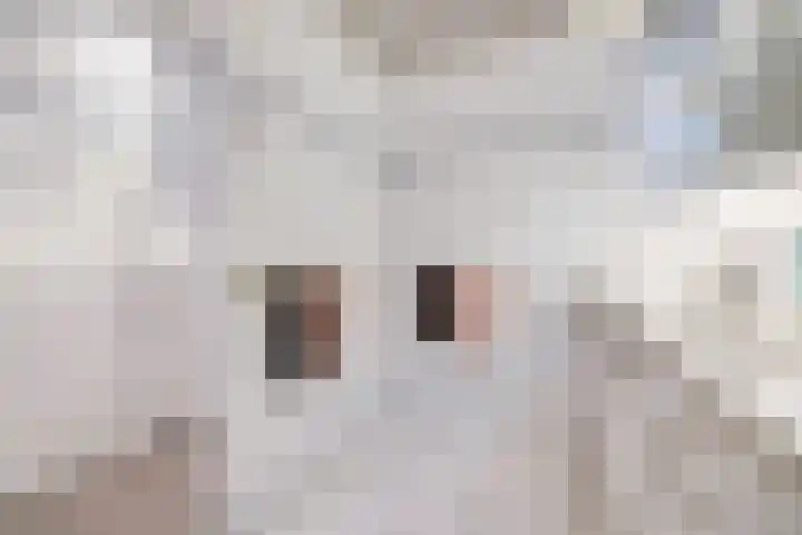 Tasmanië 124 Zoetermeer thumbnail 51