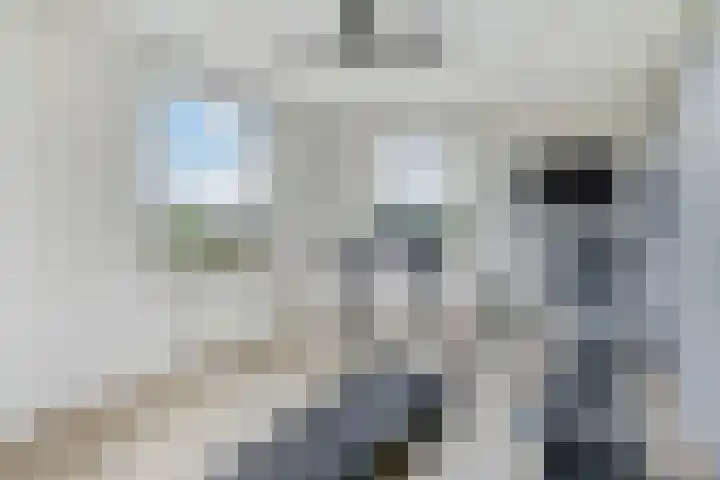 Tasmanië 124 Zoetermeer thumbnail 56