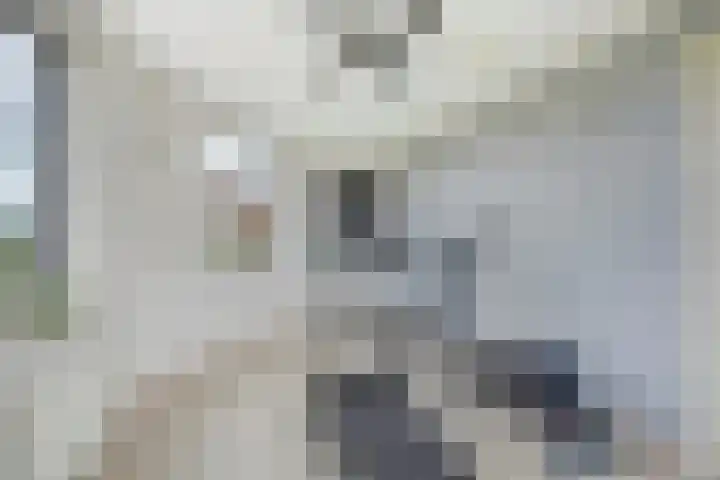 Tasmanië 124 Zoetermeer thumbnail 57