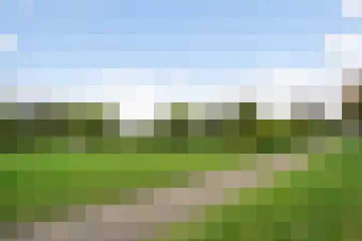 Tasmanië 124 Zoetermeer thumbnail 61