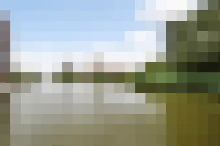 Tasmanië 124 Zoetermeer thumbnail 65