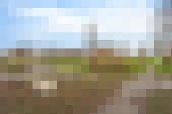Tasmanië 182 Zoetermeer thumbnail 56