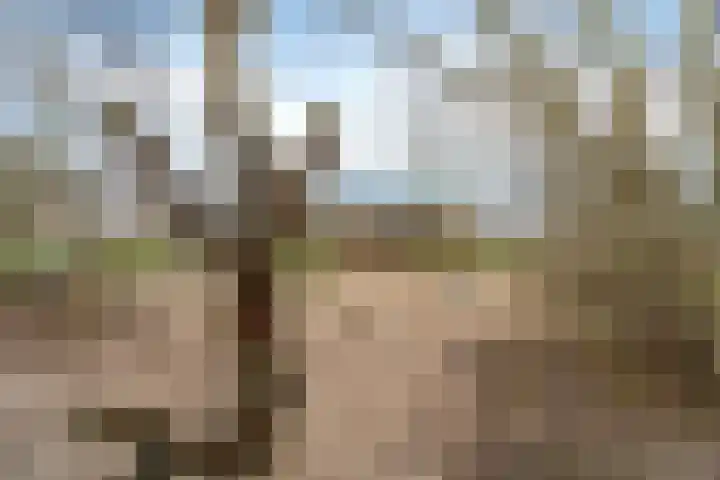 Tasmanië 182 Zoetermeer thumbnail 57