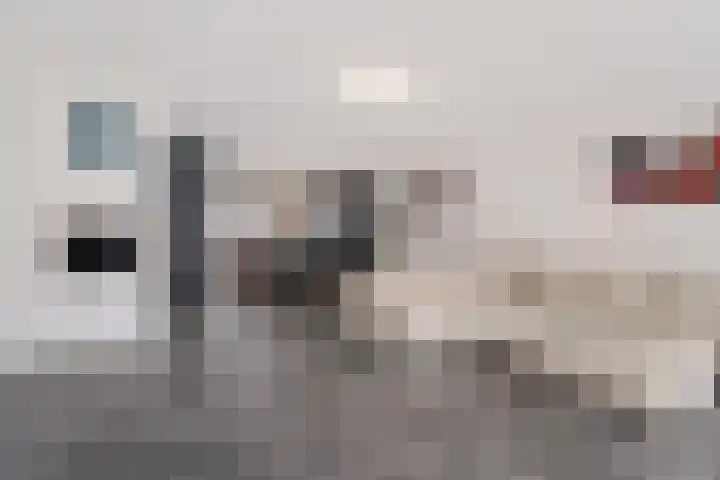 Tasmanië 182 Zoetermeer thumbnail 9