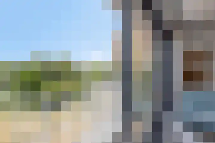 Tasmanië 20 Zoetermeer thumbnail 11