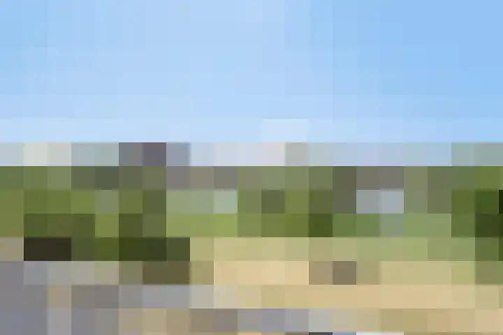 Tasmanië 20 Zoetermeer thumbnail 12
