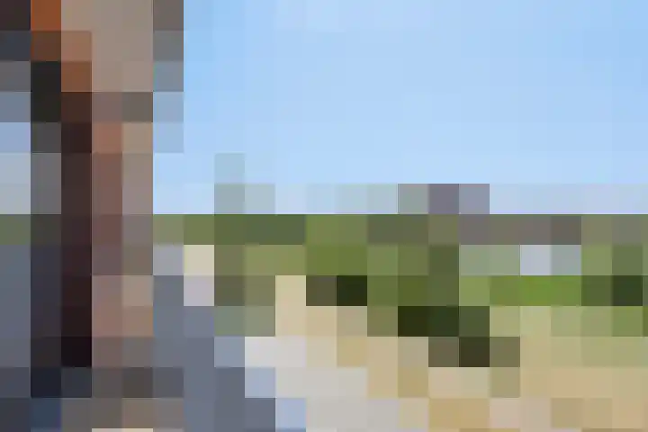 Tasmanië 20 Zoetermeer thumbnail 13