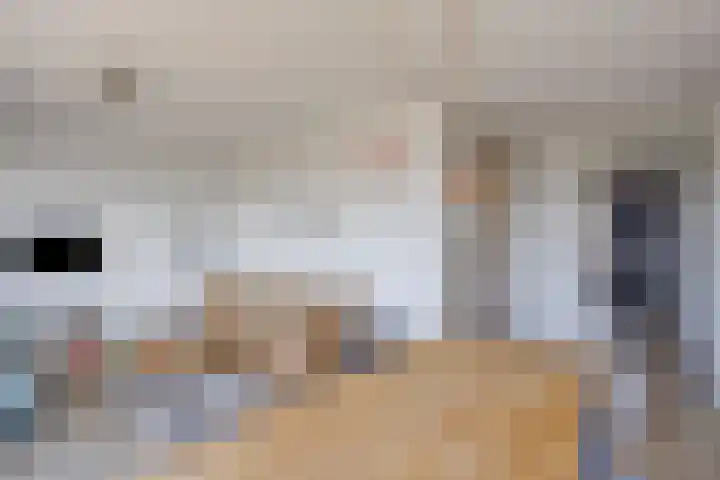 Tasmanië 20 Zoetermeer thumbnail 15