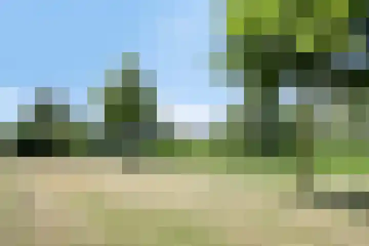 Tasmanië 20 Zoetermeer thumbnail 26