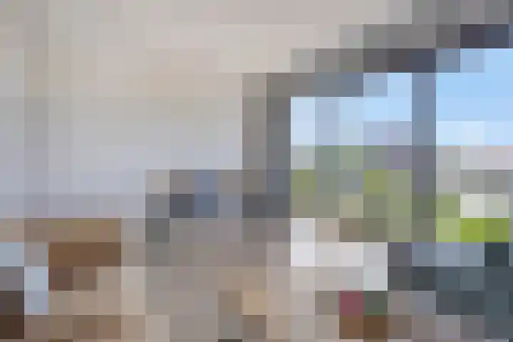 Tasmanië 20 Zoetermeer thumbnail 8