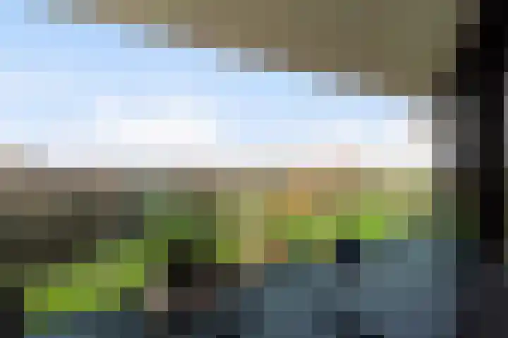 Tasmanië 242 Zoetermeer thumbnail 32