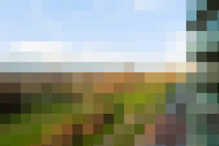 Tasmanië 242 Zoetermeer thumbnail 33